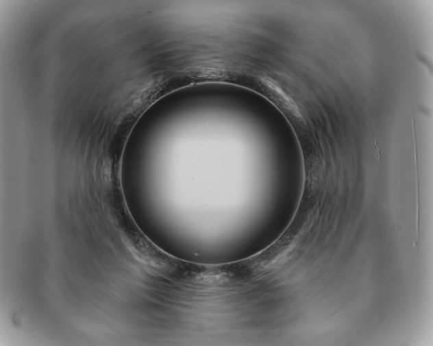 X0000091190213200708161558