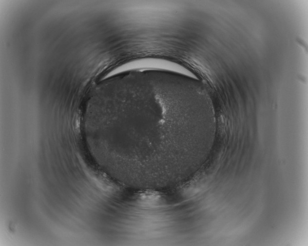 X0000091190214200708161558