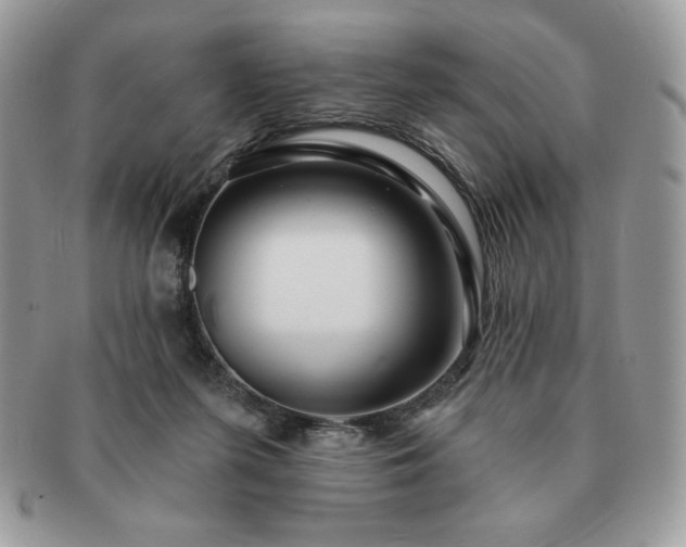 X0000091190215200708161558