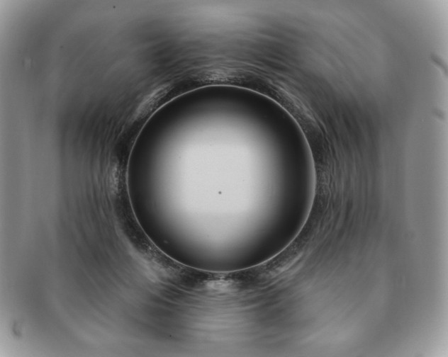 X0000091190216200708161558