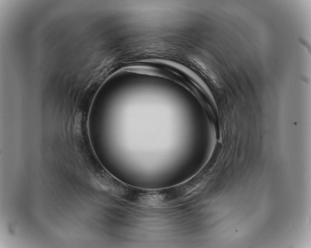 X0000091190217200708161558