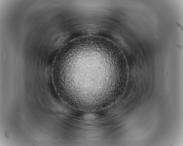 X0000091190218200708161558