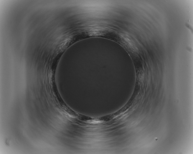 X0000091190219200708161558