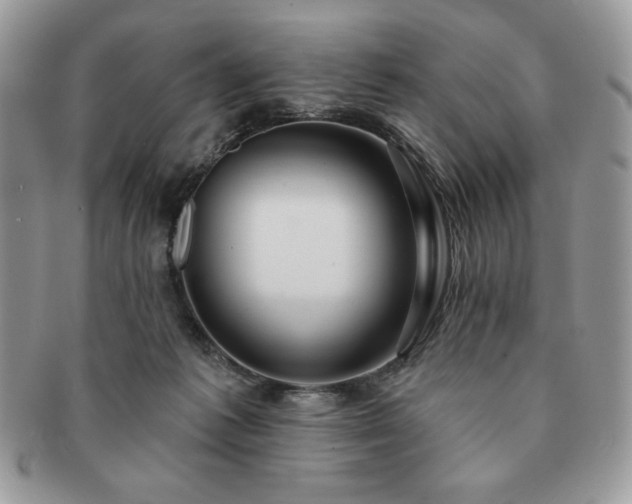 X0000091190221200708161558