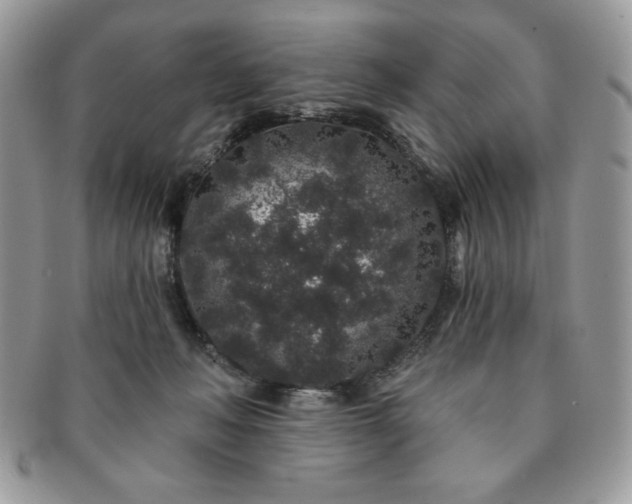 X0000091190222200708161558