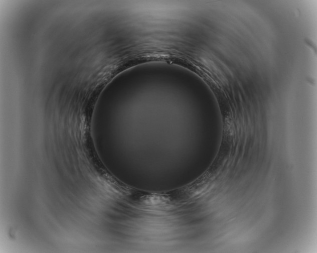 X0000091190223200708161558