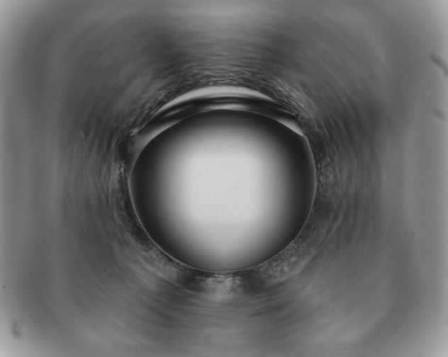 X0000091190225200708161558