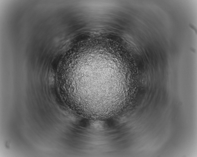 X0000091190226200708161558
