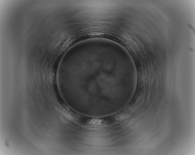 X0000091190227200708161558