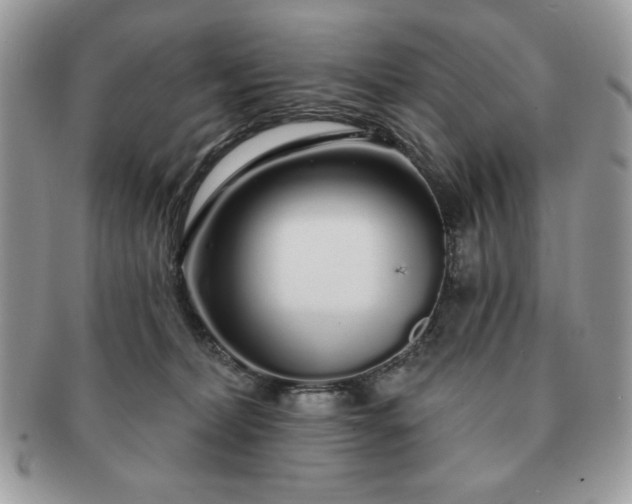 X0000091190228200708161558