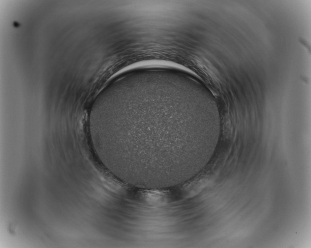 X0000091190229200708161558