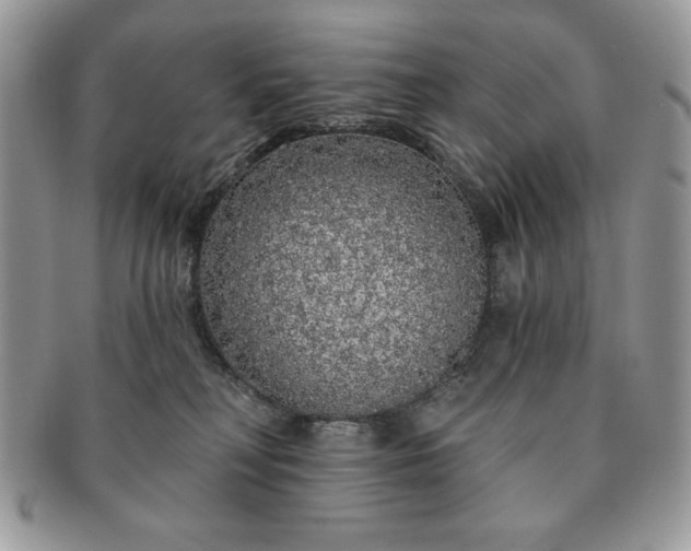 X0000091190230200708161558