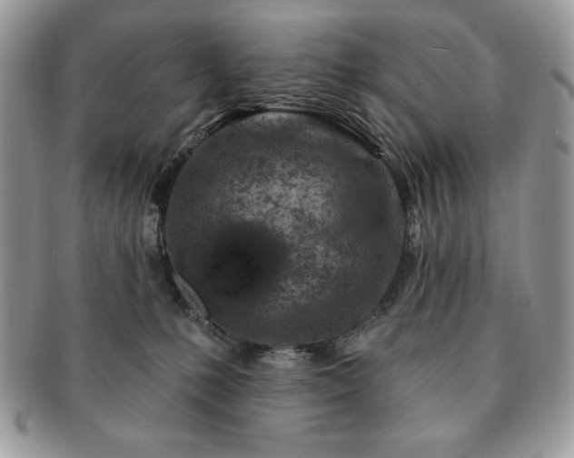 X0000091190231200708161558