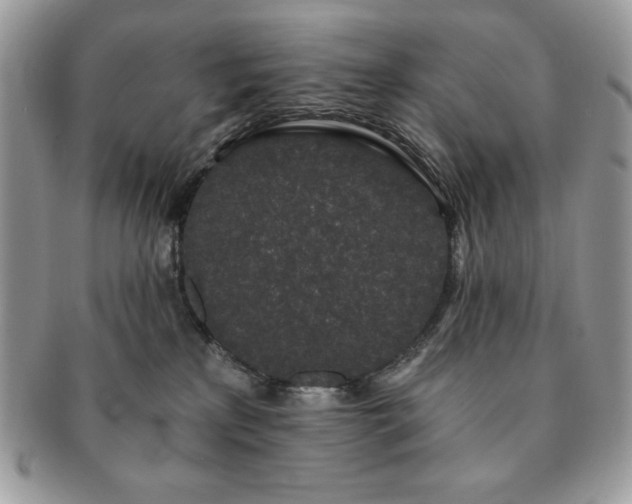 X0000091190233200708161558