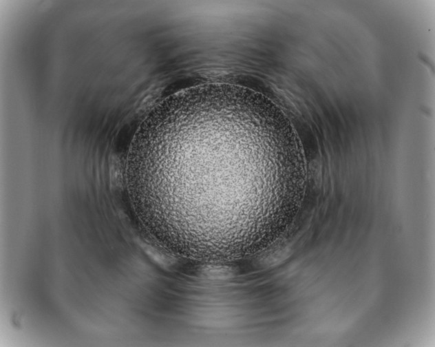 X0000091190234200708161558