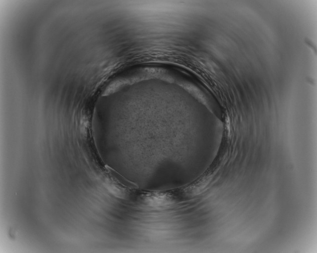 X0000091190235200708161558