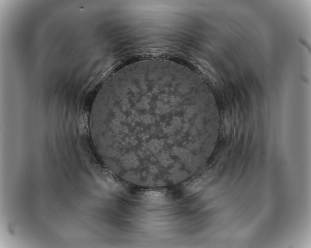 X0000091190236200708161558