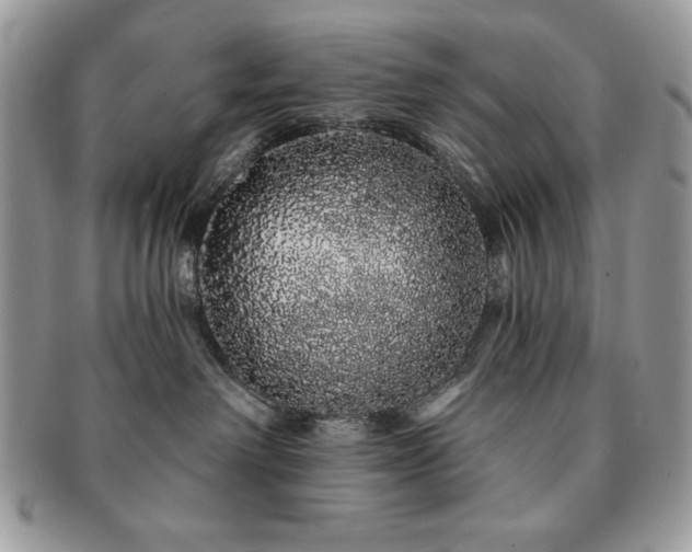 X0000091190238200708161558