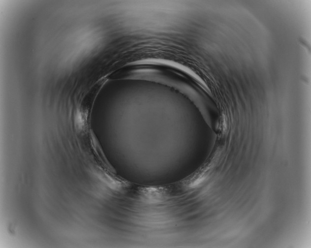 X0000091190239200708161558