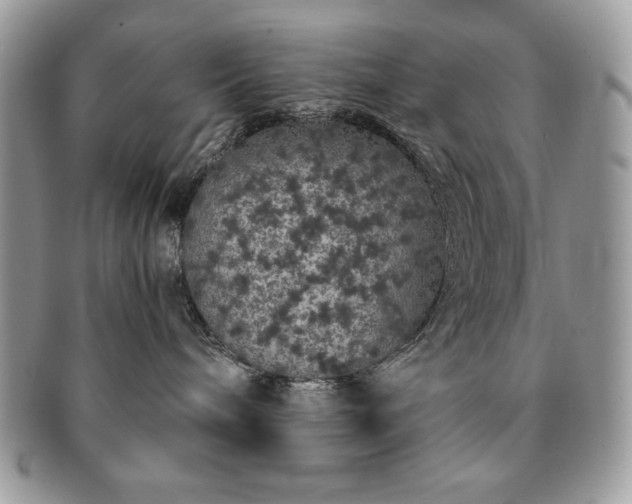 X0000091190240200708161558