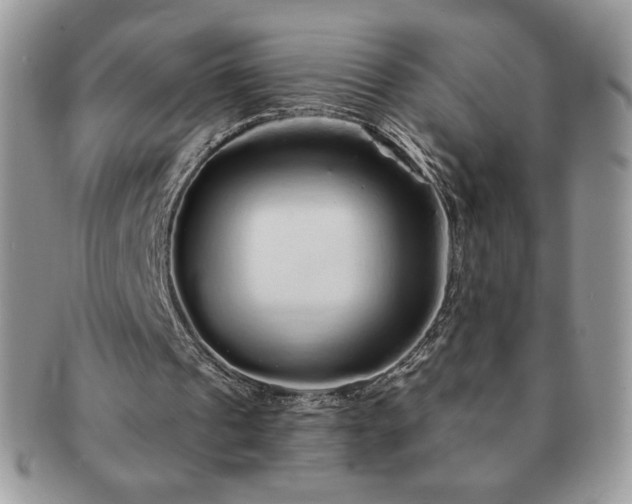 X0000091190241200708161557