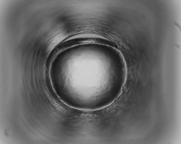 X0000091190242200708161557