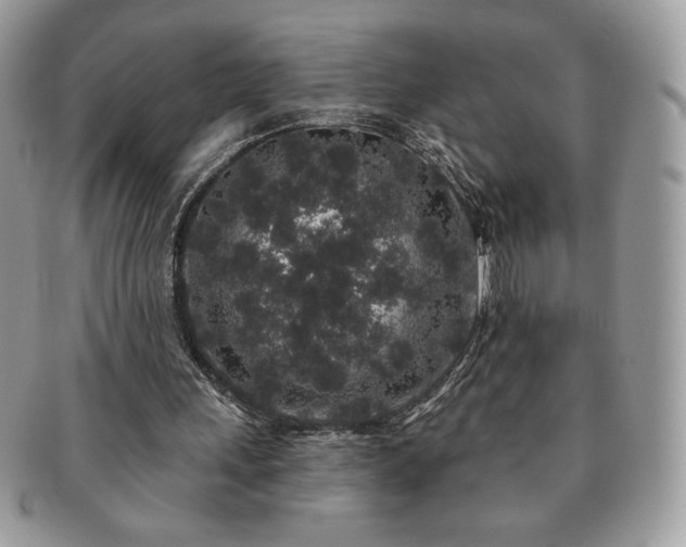 X0000091190243200708161557