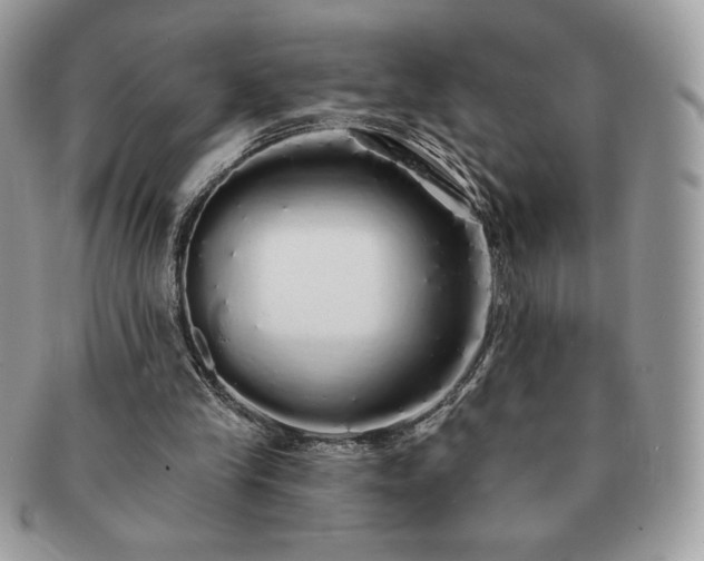 X0000091190245200708161557