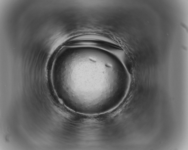 X0000091190246200708161557