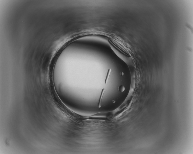 X0000091190248200708161557