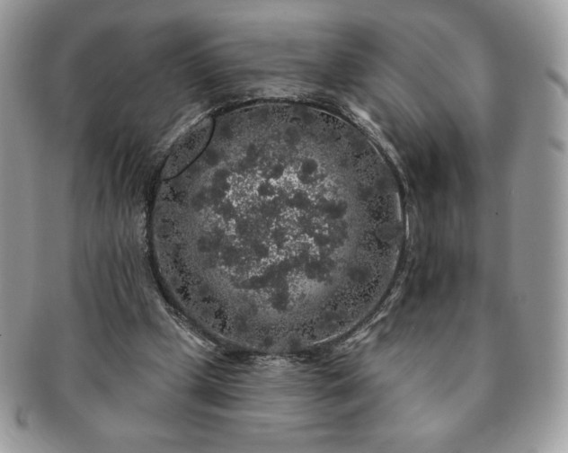 X0000091190249200708161557