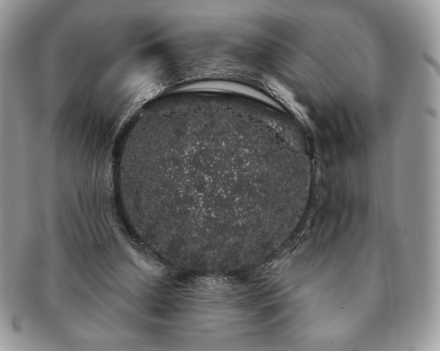 X0000091190250200708161557