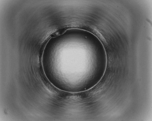 X0000091190251200708161557