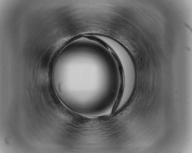 X0000091190252200708161557