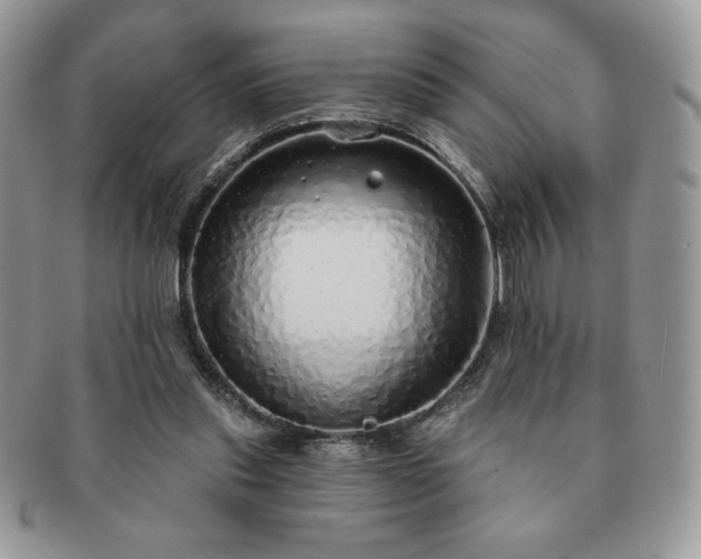 X0000091190253200708161557