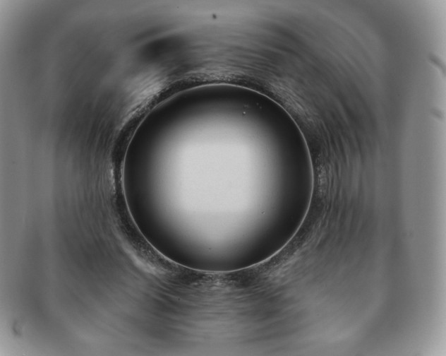 X0000091190254200708161557