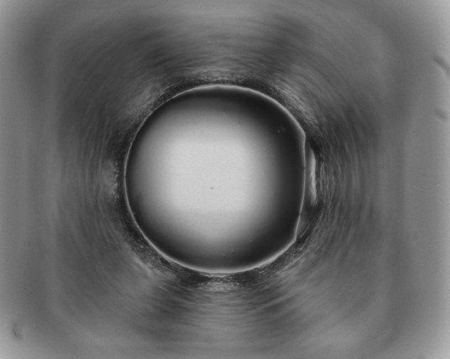 X0000091190255200708161557
