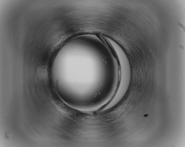 X0000091190256200708161557