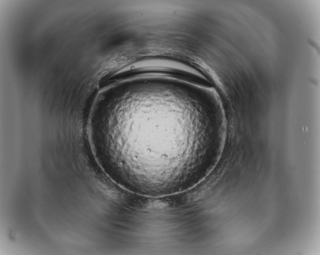 X0000091190257200708161557