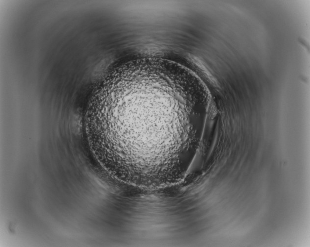 X0000091190259200708161557