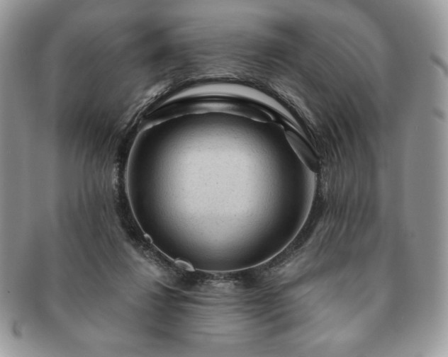 X0000091190260200708161557