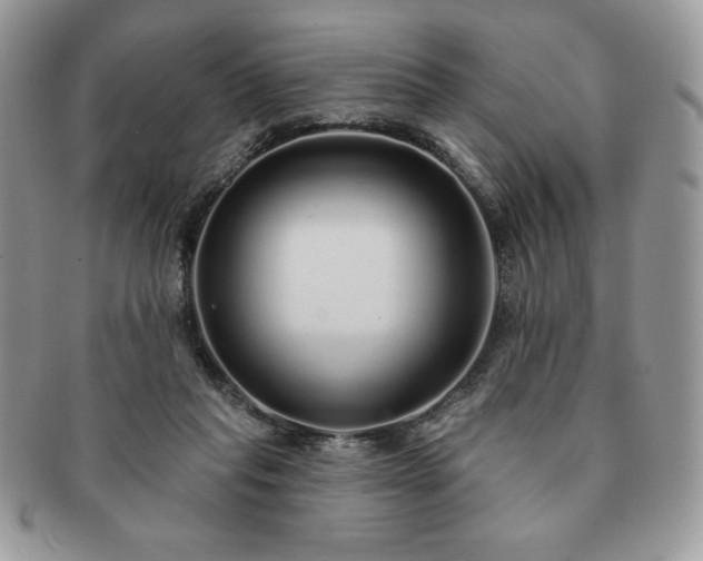 X0000091190261200708161557