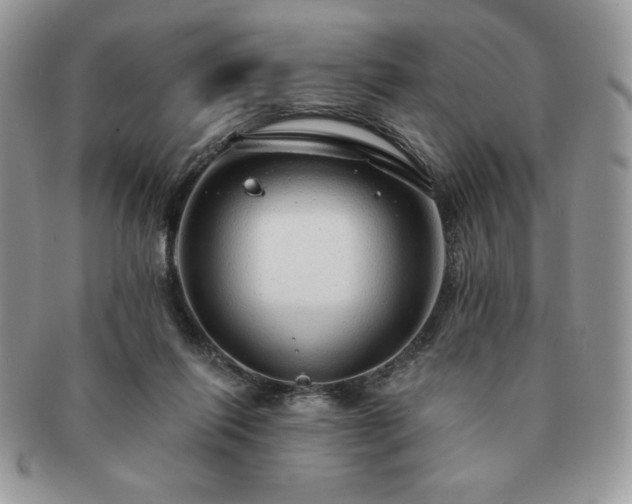 X0000091190262200708161557