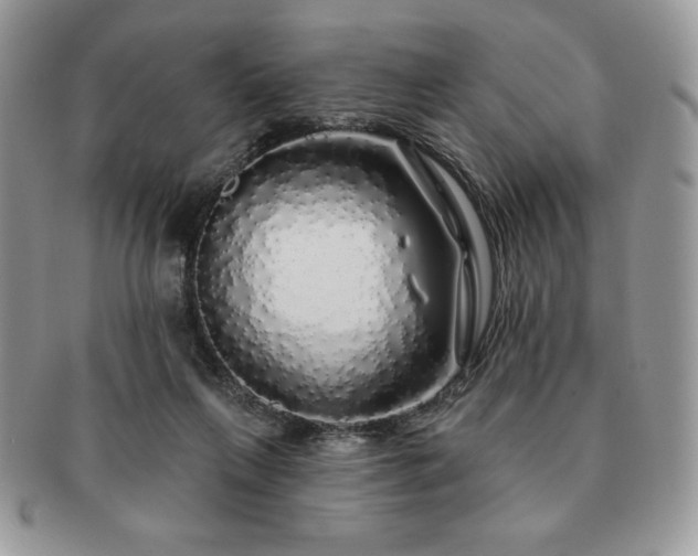 X0000091190263200708161557