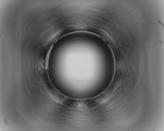 X0000091190264200708161557