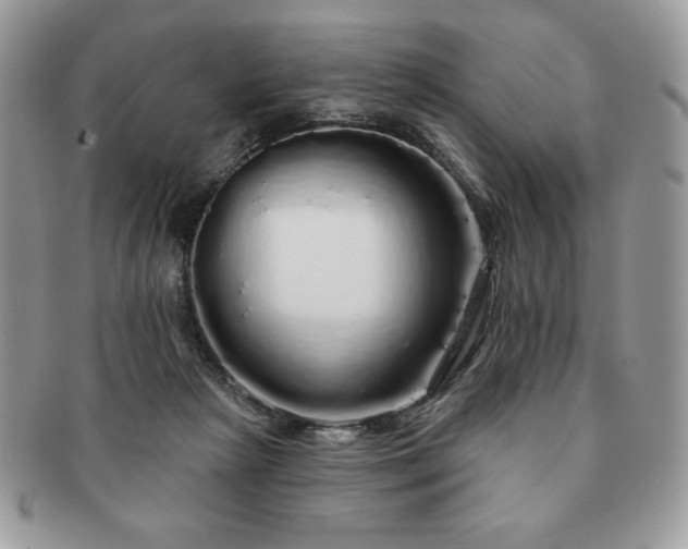 X0000091190265200708161557