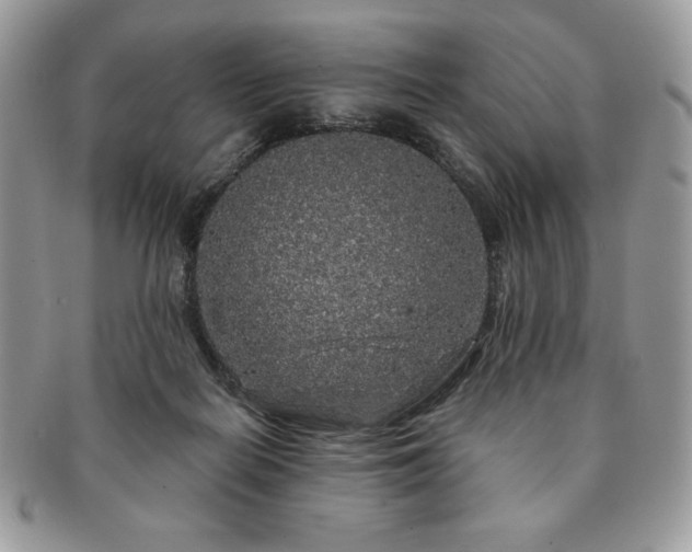 X0000091190266200708161557