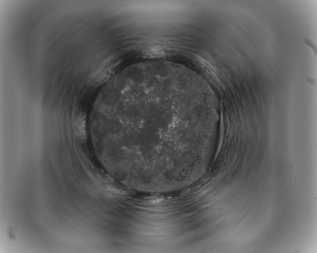X0000091190267200708161557