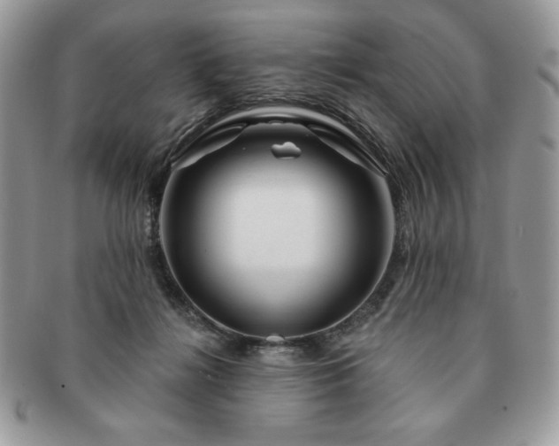 X0000091190268200708161557