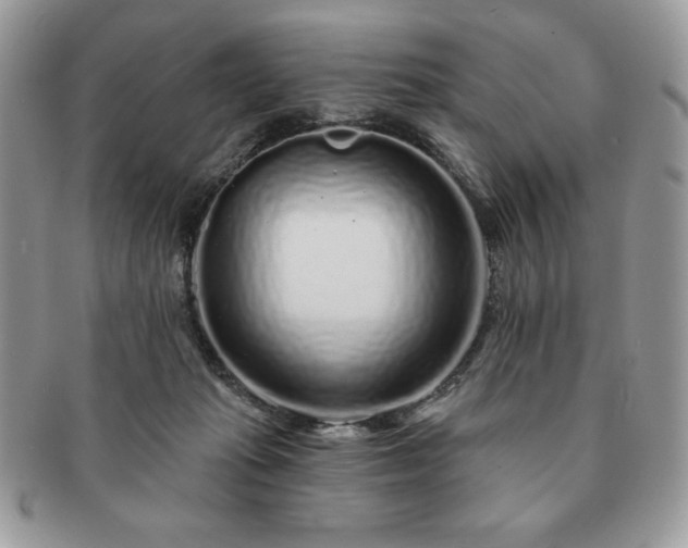 X0000091190269200708161557